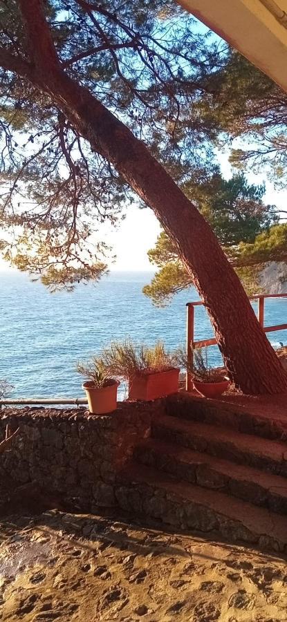 Apartmán Cinqueterre National Park Sea View Framura Exteriér fotografie