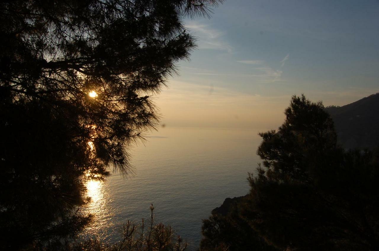 Apartmán Cinqueterre National Park Sea View Framura Exteriér fotografie